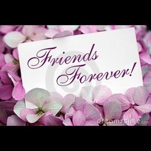 Meet your Posher, Guadalupe